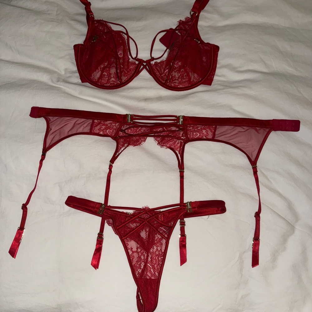 Honey Birdette Scarlet Lace Bra Set